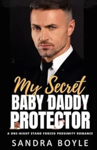My Secret Baby Daddy Protector