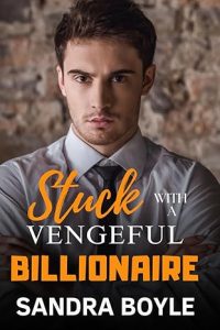 Stuck with a Vengeful Billionaire