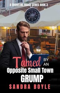 Tamed by an Opposite Small Town Grump, Book 3